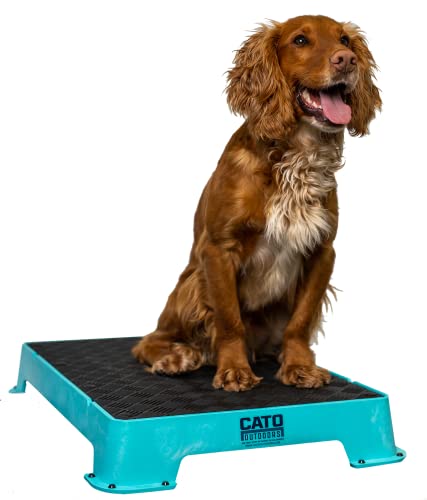 Cato Board - Dog Training Platform (Teal, Rubber Surface) - color: Teal