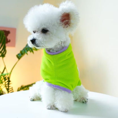 Dog Bathrobe Towel Small Dog Cute Dinosaur Drying Coat Super Soft Pet Bath Robe for Drying Dogs Fast Absorbent Dog Cat Bath Towel Adjustable Microfiber Bathrobe for Puppy Chihuahua Yorkie Pomeranian - size: Medium