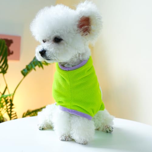 Dog Bathrobe Towel Small Dog Cute Dinosaur Drying Coat Super Soft Pet Bath Robe for Drying Dogs Fast Absorbent Dog Cat Bath Towel Adjustable Microfiber Bathrobe for Puppy Chihuahua Yorkie Pomeranian - size: Large