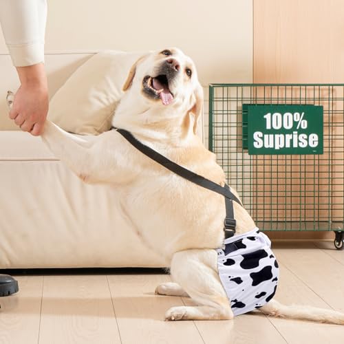 3 Pack Avont Washable Female Dog Diaper with Suspender, Reusable Girl Doggie Diapers for Small Medium Large Doggy in Heat Cycle Period Incontinence - color: Green/White/Purple…, size: XL