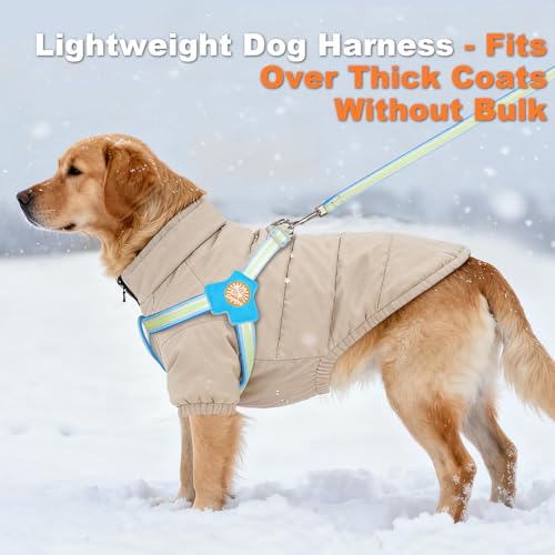 COODEO Anti-Pull Dog Harness with Reflective Strips & Breathable Padding & Anti-Escape Design, Quick Adjustable Dogs Training & Walking (Blue, M) - color: Blue, size: M