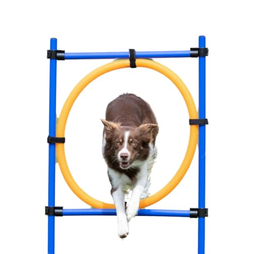 TRIXIE Dog Agility Ring Jump | Portable Dog Hoop - Agility at Home, Dog Obstacle Training Equipment