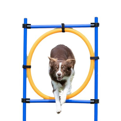 TRIXIE Dog Agility Ring Jump | Portable Dog Hoop - Agility at Home, Dog Obstacle Training Equipment