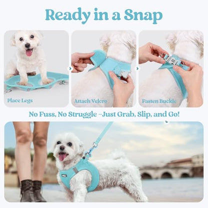 rabbitgoo Dog Harness Small Sized and Leash Set, Step in Soft Light Puppy Vest, Breathable Mesh Pet Harness, Reflective for Safe Easy Walking, Mint Blue XXXS - color: Mint Blue, size: Xxxs (chest: 10.8 - 11.8")