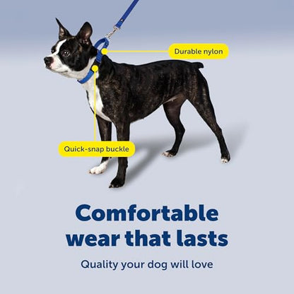 PetSafe Martingale Dog Collar with Quick-Snap Buckle - Small, 3/4 Inch, Black