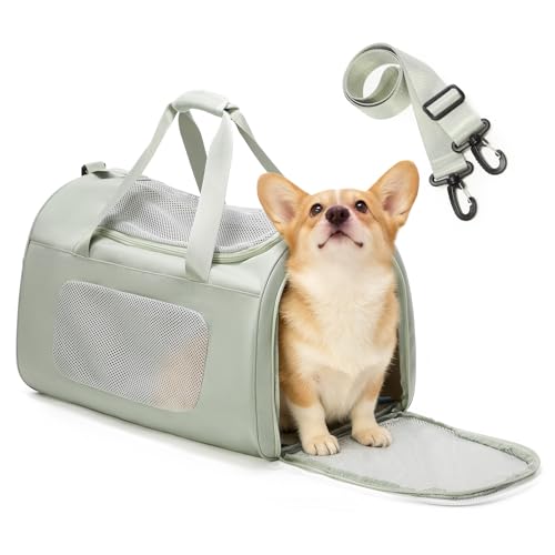 Extra-Large Cat Carrying Case Pet Dog Carrier Soft-Sided Cat Bag Airline Approved, Mesh Pet Carrier for Travel Outdoors with Shoulder Straps, Cat Carriers for Cats/Puppy/Dogs Up to 30Lbs, Green - color: Mint Green