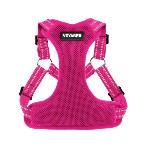 Best Pet Supplies Voyager Adjustable Step-In Flex Breathable Mesh Dog Harness for Small Medium Large Dogs (Fuchsia), XL - color: Harness (Fuchsia), size: XL