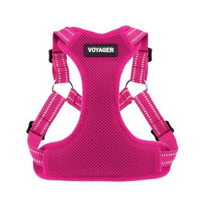 Best Pet Supplies Voyager Adjustable Step-In Flex Breathable Mesh Dog Harness for Small Medium Large Dogs (Fuchsia), XL - color: Harness (Fuchsia), size: XL