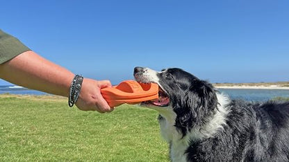 Van Ness Pets Doggi Catch and Carry Flying Disc Floating Dog Toy, Large, Orange - size: Large