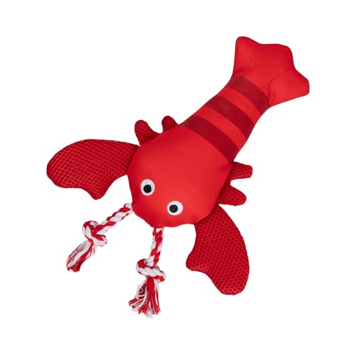 Fringe Studio Floating Dog Toy with Rope Feeling Claw-Some, Pet Shop Collection (640027) - color: Feeling Claw-Some