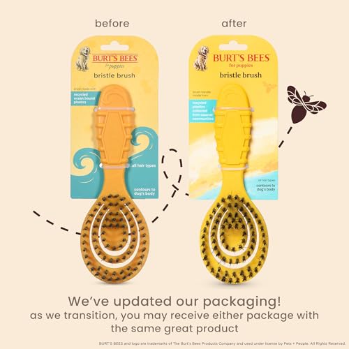Burt's Bees for Pets Small Bristle Brush with Natural Boar’s Hair & Nylon | Handle Made from Recycled Plastics Collected from Coastal Communities | De-Shedding Eco Friendly Dog Grooming Brush - color: Plastic Bristle Brush, size: 7 Inch