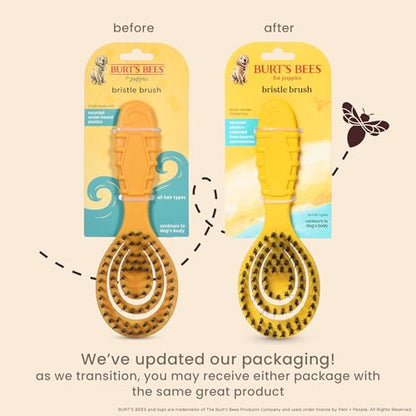 Burt's Bees for Pets Small Bristle Brush with Natural Boar’s Hair & Nylon | Handle Made from Recycled Plastics Collected from Coastal Communities | De-Shedding Eco Friendly Dog Grooming Brush - color: Plastic Bristle Brush, size: 7 Inch