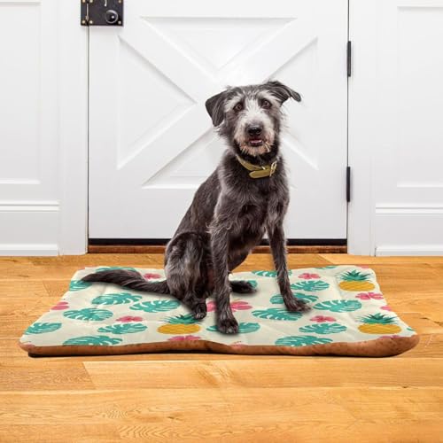 Pineapple Pattern Pet Bed Mat for Dogs and Cats, Soft Washable Crate Pad with Non-Slip Bottom, Cozy Bed Cushion for Small Medium Large Pets, 24x36 Inch - size: Medium