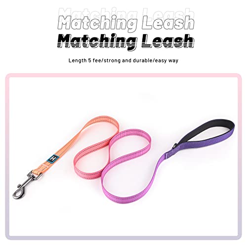 Roses&Poetry Reflective Small Dog Collar and Leash Set, Puppy Personalized Boy and Girl Collar with Leash, Adjustable Nylon Durable Pet Matching Collars Leashes for Small Puppies（Mistyrose-S - color: Mistyrose, size: S