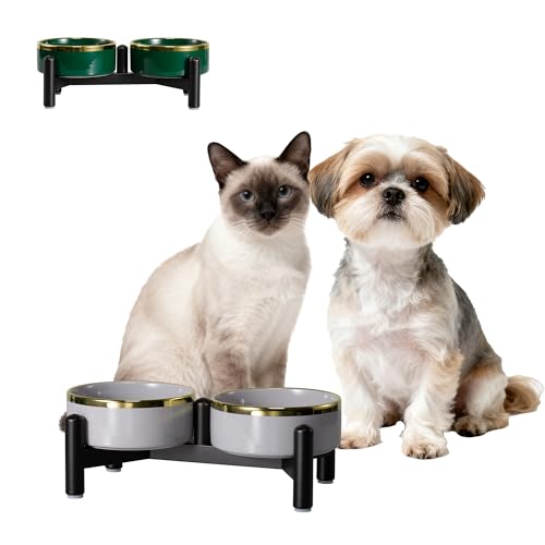 Elevated Ceramic Dog Bowl Set - Double Dishes with Stainless Steel Stand – Raised Feeding Bowls for Cats and Small Dogs - Food & Water Set - 5" / 1.6 Cups (160 g / 300 ml) - Gray - color: Gray, size: S