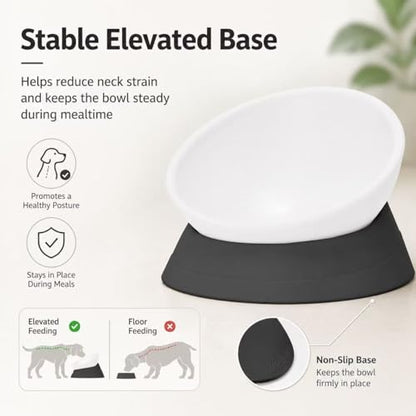 Tilted Angle Dog Bowls - Slanted Resin Dog Cat Food Bowl, Non-Slip Pet Feeder with Detachable Silicone Stand (Black, L - 4 Cup) - color: Black, size: L - 4 Cup