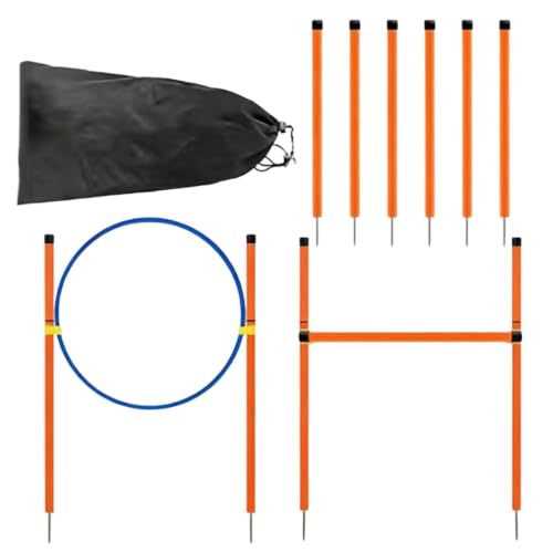 Agility Course for Dogs Exercise Game with Tunnel | Dog Playground Equipment for Outdoor Garden Park Beach Playground Field Competition Recreation - color: B