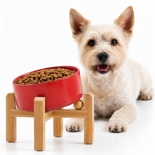 Petygooing Raised/Elevated 15°Slanted Ceramic Dog Bowl for Small Breeds,Tilted Anti Slip Pet Feeding Bowl,Food Water Dish with Stand for Cats and Small Dogs Puppy 13.5 OZ (5.1In / 1.7 Cups) Rust Red - color: Rust Red, size: 1.7 CUPS - Puppy/Small Dogs & C