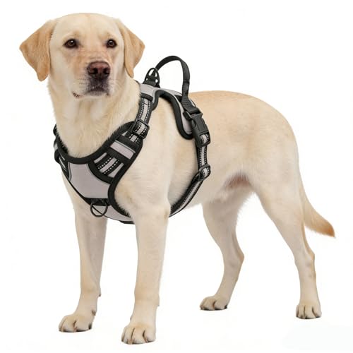 Gray No-Pull Dog Harness with 2 Leash Clips，Soft Padded Vest for Medium Dog, Adjustable Reflective Dog Vest Easy to Put on and Take Off, (Neck: 14"~20", Chest: 21"~27", Gray M) - color: Gray, size: Medium