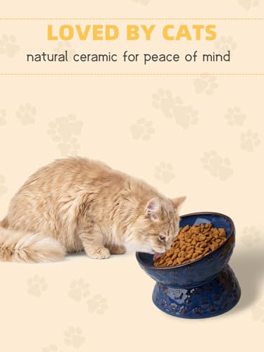 GDCZ Ceramic Tilted Elevated Cat Bowl, for Fat Faced Cat, Kitten (Blue) | 15° Tilted Elevated Design,5oz Small Meal Capacity,Chin-Friendly Ceramic,Paw Print - color: Blue