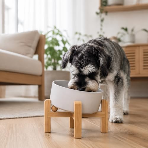 hjn Elevated Ceramic Dog Bowl 15°Slanted Raised Dog Bowl with Bamboo Stand for Small Medium Dogs and Cats, Pet Feeder-3.6-Cup (850ml)-Gray - color: Misty Gray, size: 3.6Cup