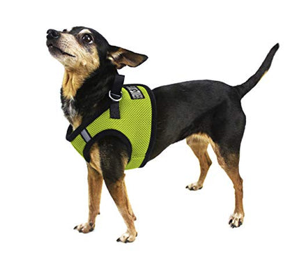 Dogline Boston Step in Mesh Dog Harness with Service Dog Patch No Choke Pet Vest Soft Gentle Padded Chest Halter for Puppies Small Medium and Large Dogs 14 to 16 inches Girth Lime Green - color: Lime Green, size: Girth 14 to 16"