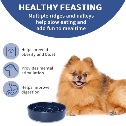 Slow Feeder Dog Bowls, Ceramic Slow Feeding Bowl for Small and Medium Breed, Anti Choking Puzzle Dog Food Bowl with Non-Slip Base for Fast Eater (Blue, S-0.6CUP) - color: Blue