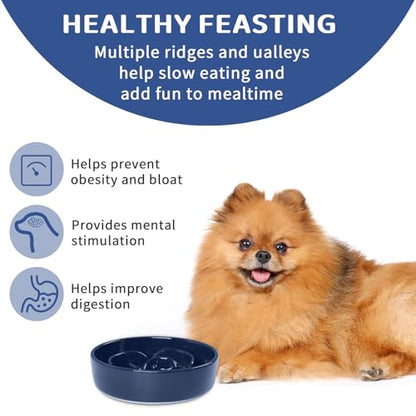 Slow Feeder Dog Bowls, Ceramic Slow Feeding Bowl for Small and Medium Breed, Anti Choking Puzzle Dog Food Bowl with Non-Slip Base for Fast Eater (Blue, S-0.6CUP) - color: Blue
