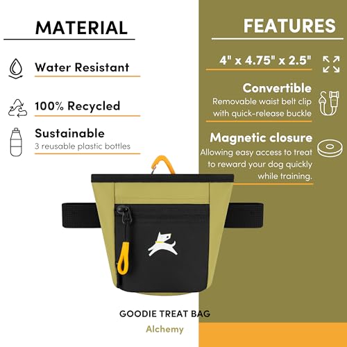 OllyDog, Goodie Treat Bag, Dog Treat Training Pouch | Magnetic Closure | 3 Ways to Wear | Hands-Free Waist Belt | Water-Resistant Recycled Vegan Fabric (Alchemy) - color: Alchemy