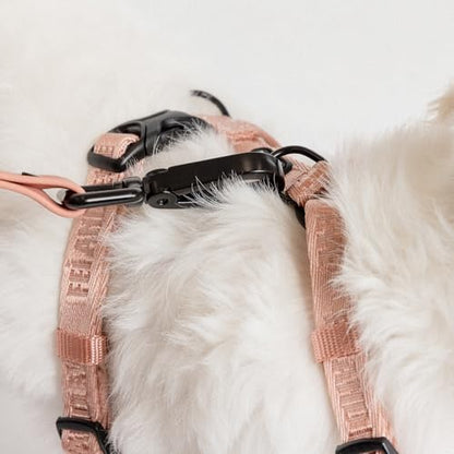 Fei & Eve Moxie Dog Harness for Small & Medium Dogs, Blush, S | Lightweight Design, 3-Point No-Pull Control, Quick Release Metal Buckle - color: Blush, size: S