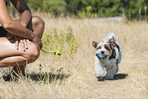 Chuckit! The Whistler Ball Dog Toy, Small (2 Inch Diameter) for Dogs 0-20 lbs, Pack of 2