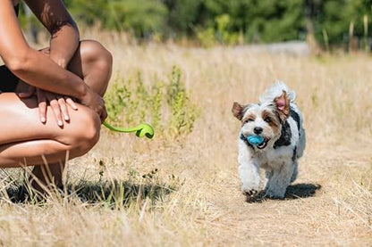Chuckit! The Whistler Ball Dog Toy, Small (2 Inch Diameter) for Dogs 0-20 lbs, Pack of 2