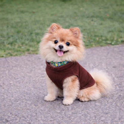 JACKO & CO - Fleece Vest Dog Sweater with Leash Ring - Soft, Warm & Lightweight Pullover Coat for Small & Medium Dogs, Puppies & Cats - Cozy Fall/Winter/Spring Pet Jacket (Chocolate Brown, S (4-6lbs) - color: Chocolate Brown, size: S (4-6lbs)