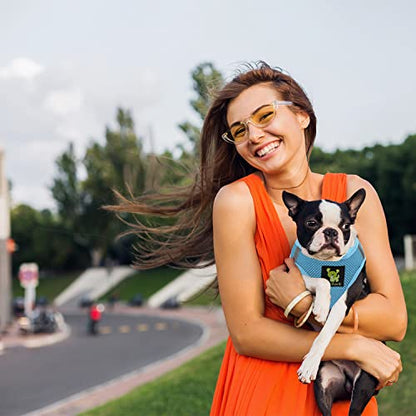 EcoBark Teacup Dog Harness- Luxury Soft Step in Dog Harness for Puppy & Tiny Dogs - Reflective Mini Body Halter Vest (XXXS Baby Blue) - color: Sky Blue, size: XXXS- 2 to 3 lbs- Chest up to 10 in (Pack of 1)