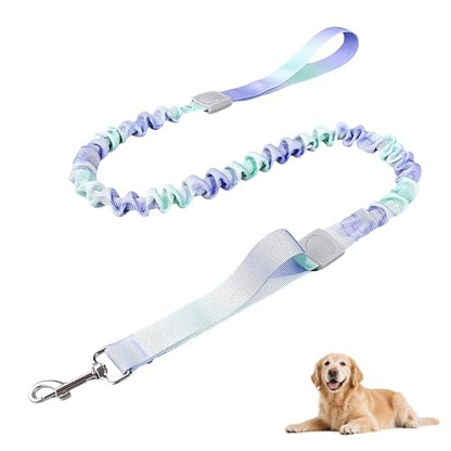 Dog Leash for Small to Medium Dogs, Shock Absorbing Dog Leashs, Dog Walking Leash, Dog Training Leashs, Ombre Color， 4-5.5 Feet(Violet-Green Ombré) - color: Violet-Green Ombré