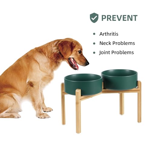Havniva 8.3” Dog Bowls Elevated Ceramic Dog Food and Water Bowl Set, Double Raised Dog Water Bowl with Stand Non-Slip Rubber Base Large Capacity Feeding Pet Food Bowl for Large Dogs - color: Matte Dark Green - 2 Bowls+Stand, size: 8.3 Inch