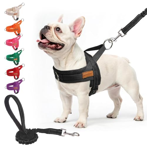 BEAUTYZOO No Pull Dog Harness Medium Sized Dog, Breathable Mesh Padded Dog Harness and Leash Set, Adjustable Reflective Escape Proof Dog Vest Harnessss Quick Fit for Training Walking, Black M - color: Black, size: M: Chest 21"-26.7"