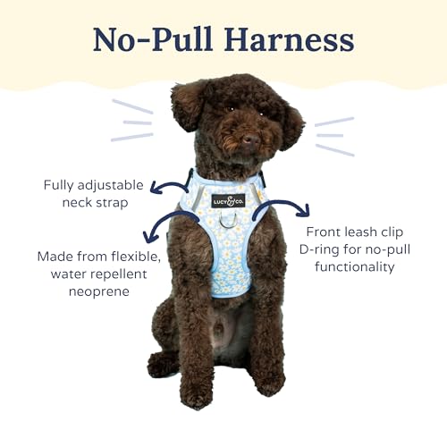 Lucy & Co. The Simply Splendid No-Pull Dog Harness - Size X-Large - Vest to Stop Pulling & Walk Easy - Comfortable Leash Training Product w/Adjustable Chest & Neck Straps - color: The Simply Splendid No-Pull Harness, size: X-Large