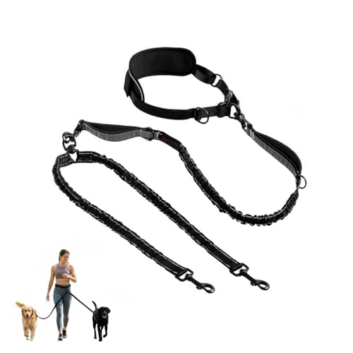 X11PAWS - Heavy Duty Dog Leash Hands Free Bungee | Two Large Dogs Up to 250 lbs | Comfortable Shock Absorbing Bungee | Reflective Dual Padded Handles | Lumbar Waist Belt 24-42" | 360° Swivel Clips