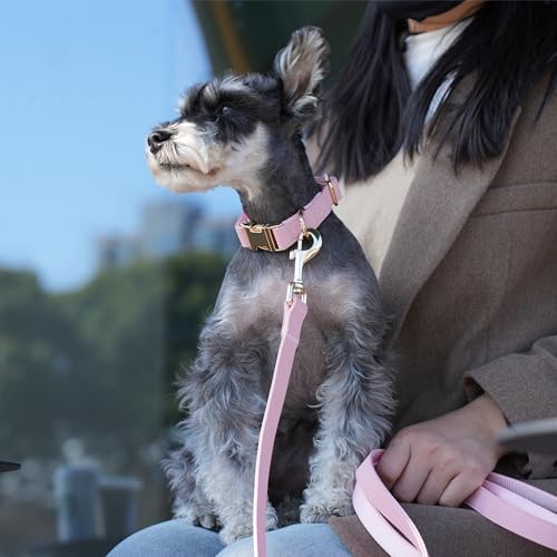 PET ARTIST Soft PU Leather Dog Collar, Bright & Classic Pink Dog Collar with Quick Release Rose Metal Buckle, Adjustable Nylon Padded Durable Pet Collars for Small Dogs Girl, Neck Fit 9-14" - color: Pink, size: S: Fit 9-14" Neck(10-20 lbs)