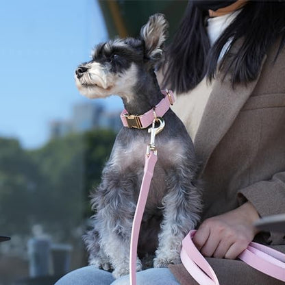 PET ARTIST Soft PU Leather Dog Collar, Bright & Classic Pink Dog Collar with Quick Release Rose Metal Buckle, Adjustable Nylon Padded Durable Pet Collars for Small Dogs Girl, Neck Fit 9-14" - color: Pink, size: S: Fit 9-14" Neck(10-20 lbs)