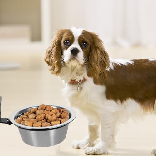 Yardwe Elevated Dog Bowl and Water Bowl Set Wall-Mounted 6-inch Convenient Feeding Station for Large Dogs and Puppies