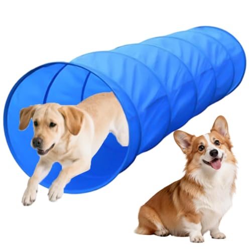 Dog Agility Training Equipment Exercise Game with Tunnel | Dog Park Equipment Outdoor for Outdoor Garden Park Beach Playground Field Competition Recreation - color: A