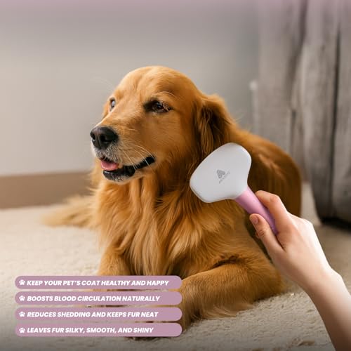Small Slicker Brush for Grooming - Slicker Brush for Dogs and Cats can act as Deshedding Pet Tool for Healthy Coat Maintenance and Suitable for Short and long Haired Dogs - size: Small Poodle