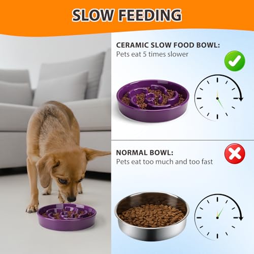 Slow Feeder Dog Bowl, Ceramic 2 Cups Dog Food Bowls for Small, Medium, and Large Breed, Anti-Slip Maze Puzzle Food Dish to Slow Down Eating (Deep Purple, 2 Cups) - color: Flower - Deep purple