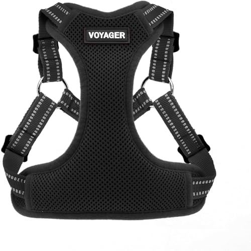 Best Pet Supplies Voyager Adjustable Step-in Flex Breathable Mesh Dog Harness for Small Medium Large Dogs (Black), M - color: Harness (Black), size: M