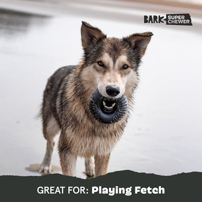 Barkbox Super Chewer Tough Dog Chew Toys for Aggressive Chewers, Dental Stimulating (Radius - Large) - color: Radius - Large, size: Medium/Large