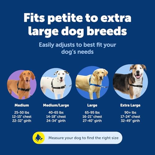 PetSafe Easy Walk No-Pull Dog Harness - Ultimate Harness to Help Stop Pulling - Pull-Free Walks - Take Control & Teach Better Leash Manners - Patented Martingale Loop Design - Royal Blue, Small - color: Royal Blue/Navy Blue, size: Small