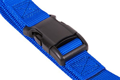 GOGO Pet Products 5/8-Inch Martingale Dog Collar, Small, Blue - color: Blue, size: Small (5/8" web width)