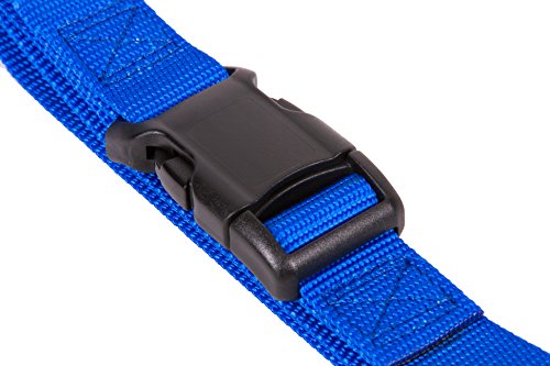 GOGO Pet Products 1-Inch Martingale Dog Collar, Large, Blue - color: Blue, size: Large (1" web width)